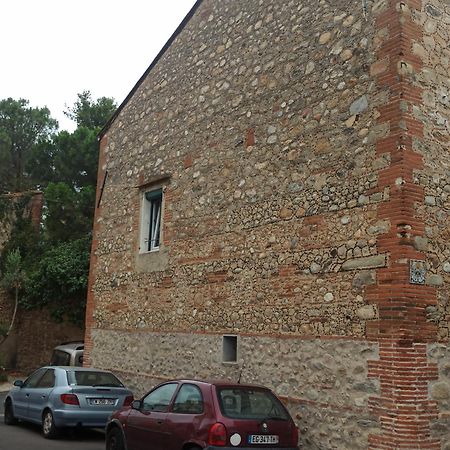 Maison Familiale Centenaire De Vigneron Montescot Екстериор снимка